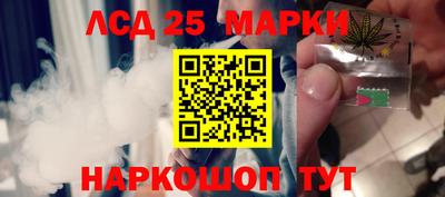 Альфа ПВП Кандалакша