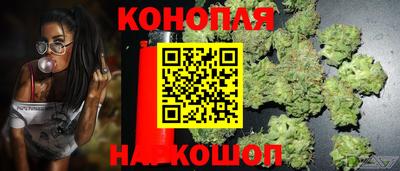 ECSTASY Камышлов