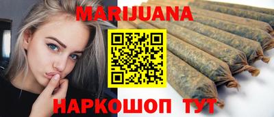 Альфа ПВП Кандалакша