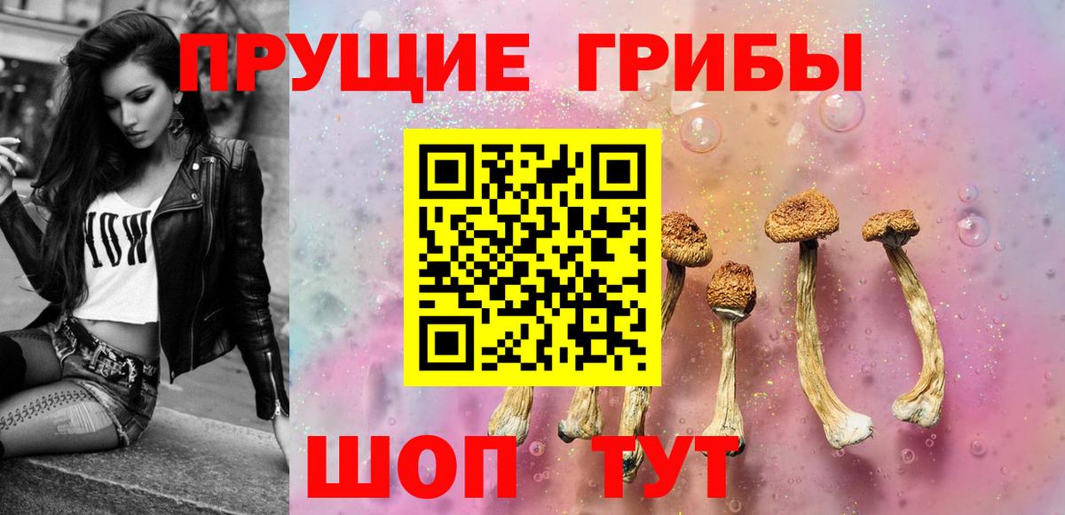 Галлюциногенные грибы прущие грибы  купить   Псилоцибиновые грибы прущие грибы  Мегион  Вход с VPN 
